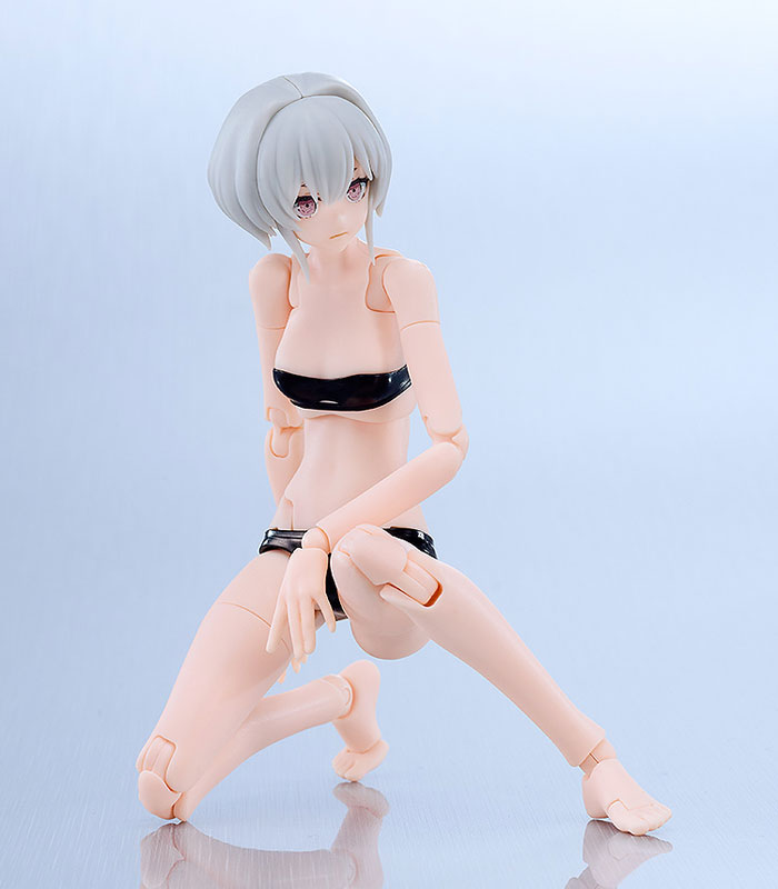[XI-Ⅲ] PLAMAX XI-Ⅲ