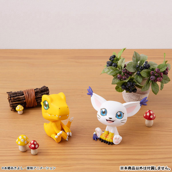 [디지몬 어드벤처] 룩업 아구몬 (재판)